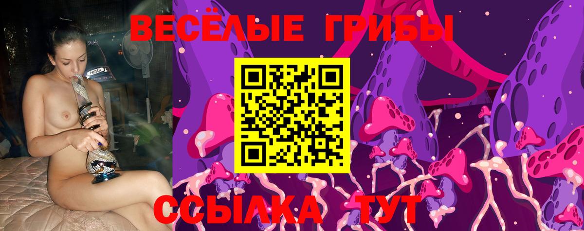 Галлюциногенные грибы Psilocybe  Вход с VPN  Асбест 