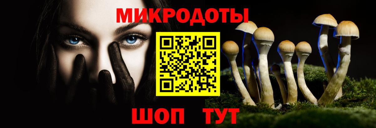 Псилоцибиновые грибы мицелий Асбест